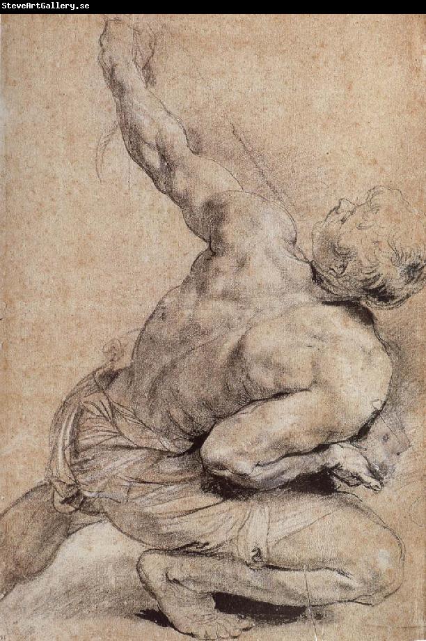 Peter Paul Rubens Pencil sketch of man-s back